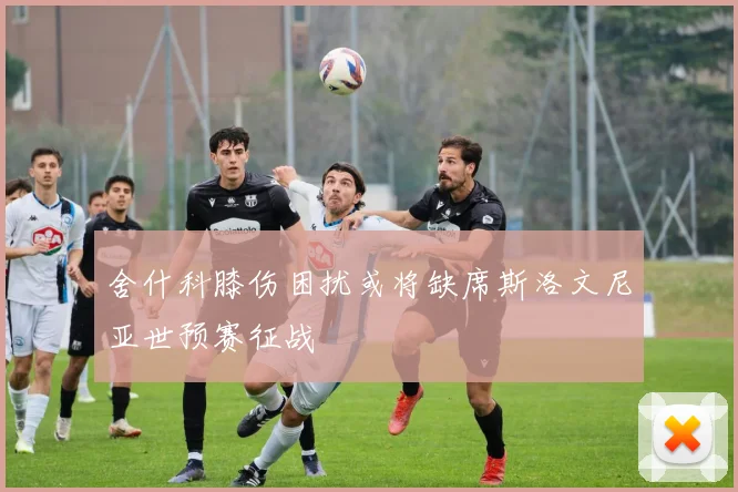 舍什科膝伤困扰或将缺席斯洛文尼亚世预赛征战