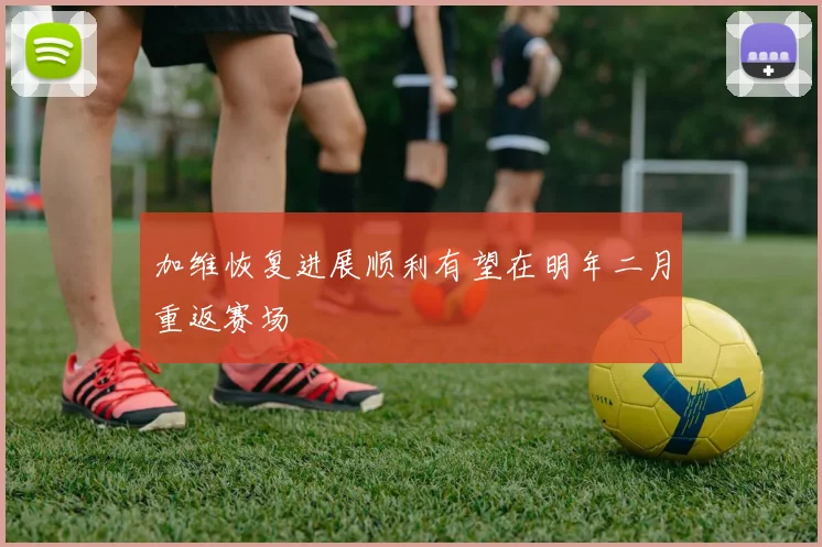 加维恢复进展顺利有望在明年二月重返赛场